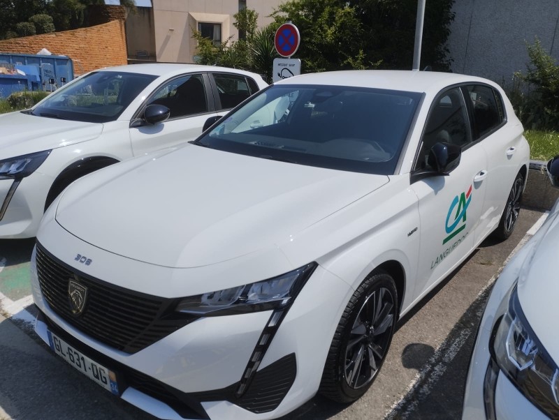 PEUGEOT e208 NETTOYAGE SANS EAU MONTPELLIER