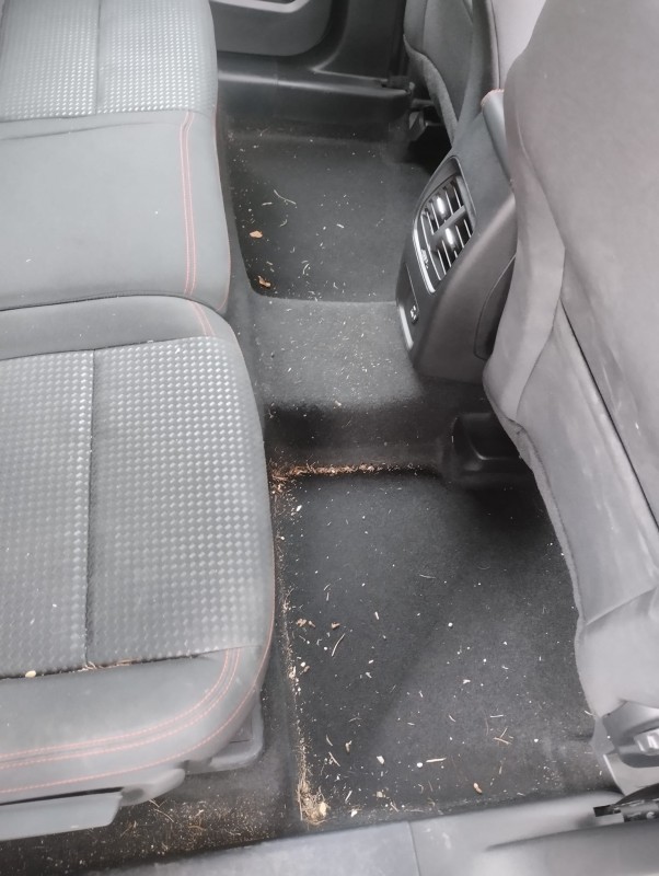 nettoyage intérieur d’une Ford  à Montferrier sur lez  avant / après